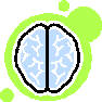 AnestaWeb - Female Brains, Male Brains, Size of Brains, Grey Matter, White Matter, Does It Matter? AnestaWeb.com