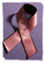 Breast Cancer, Breast Cancer Awareness, Barbara Pettit